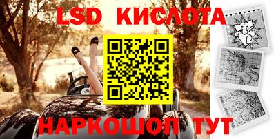 гашик Ярославль