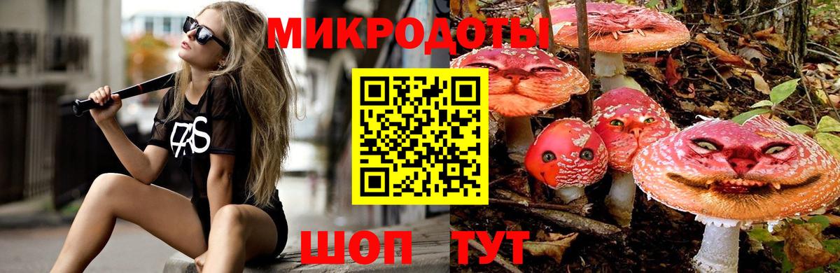 Галлюциногенные грибы Psilocybine cubensis  магазин продажи   Куйбышев  Вход с VPN 